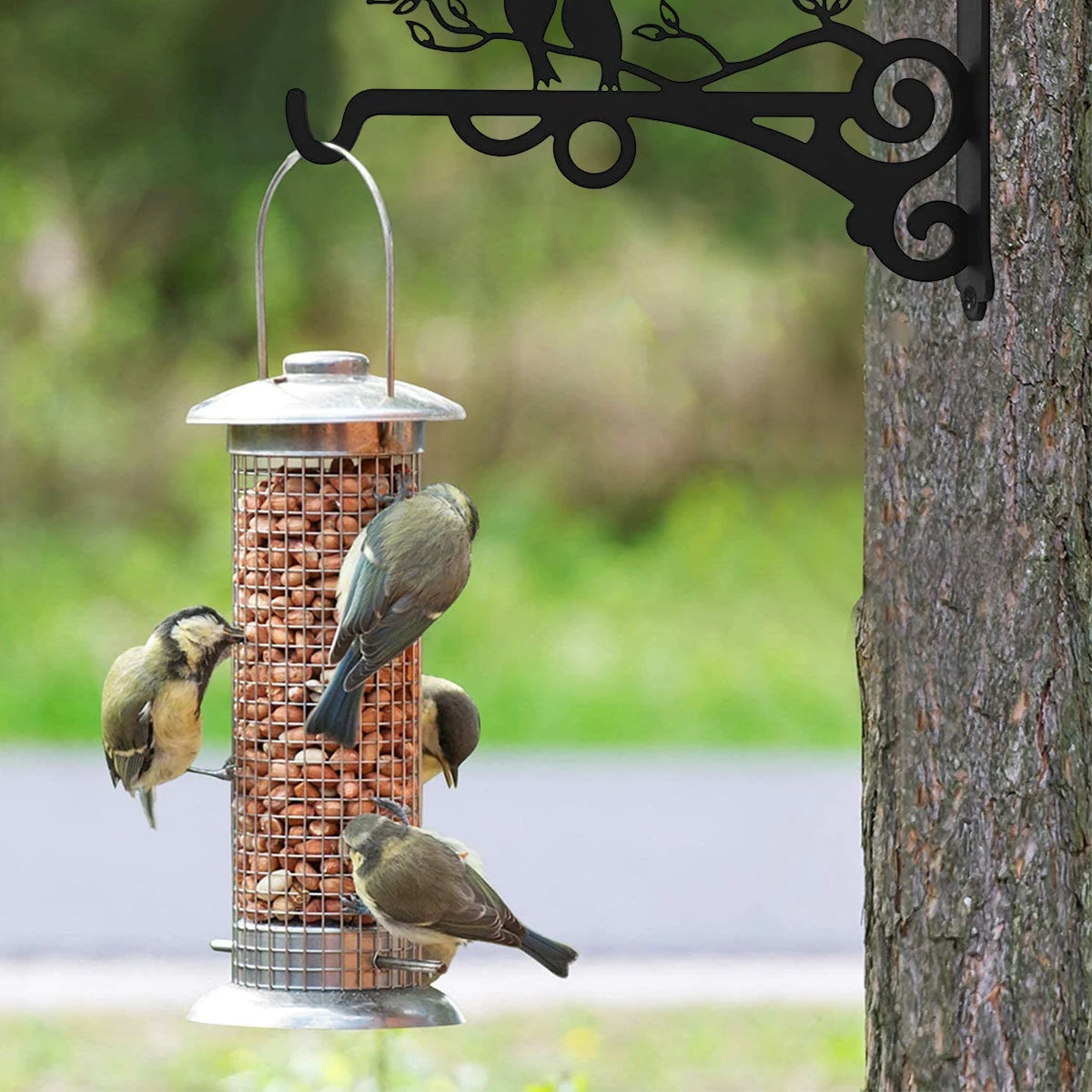 Vintage iron wall hooks with a metal feeder holding a bird in a garden setting