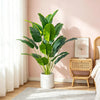 A vibrant green artificial Bird of Paradise plant in a white pot displayed indoors next to a wooden stool.