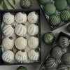 A collection of twelve white and green patterned retro shatterproof Christmas tree ball ornaments displayed in a dark box.