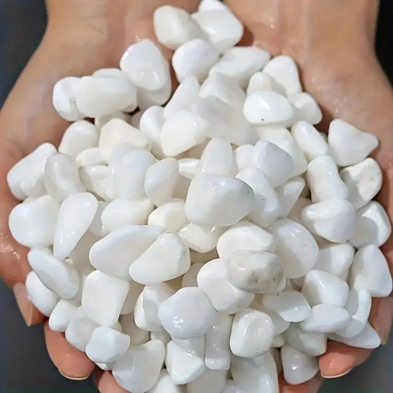 Natural White Decorative Pebbles for Aquariums, Plants & Home Decor