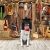 A black and white dog sits in front of a rustic wooden barn door backdrop featuring leather, tools, and a horse.