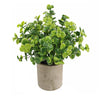 A potted lifelike mini eucalyptus plant with bright green leaves in a rustic gray pot.