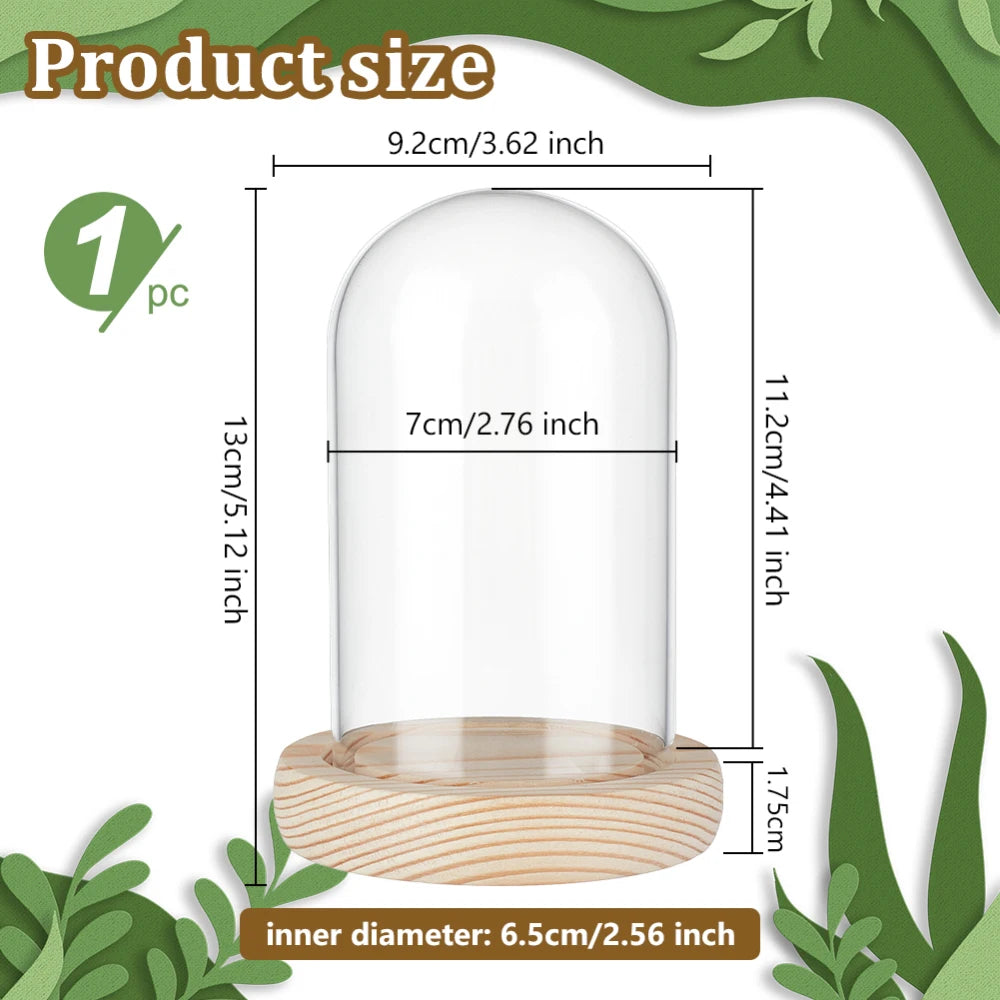 Clear glass dome cloche with a wooden base for display and décor