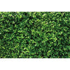 Dense green tropical jungle leaf photography backdrop for parties and studio shoots
