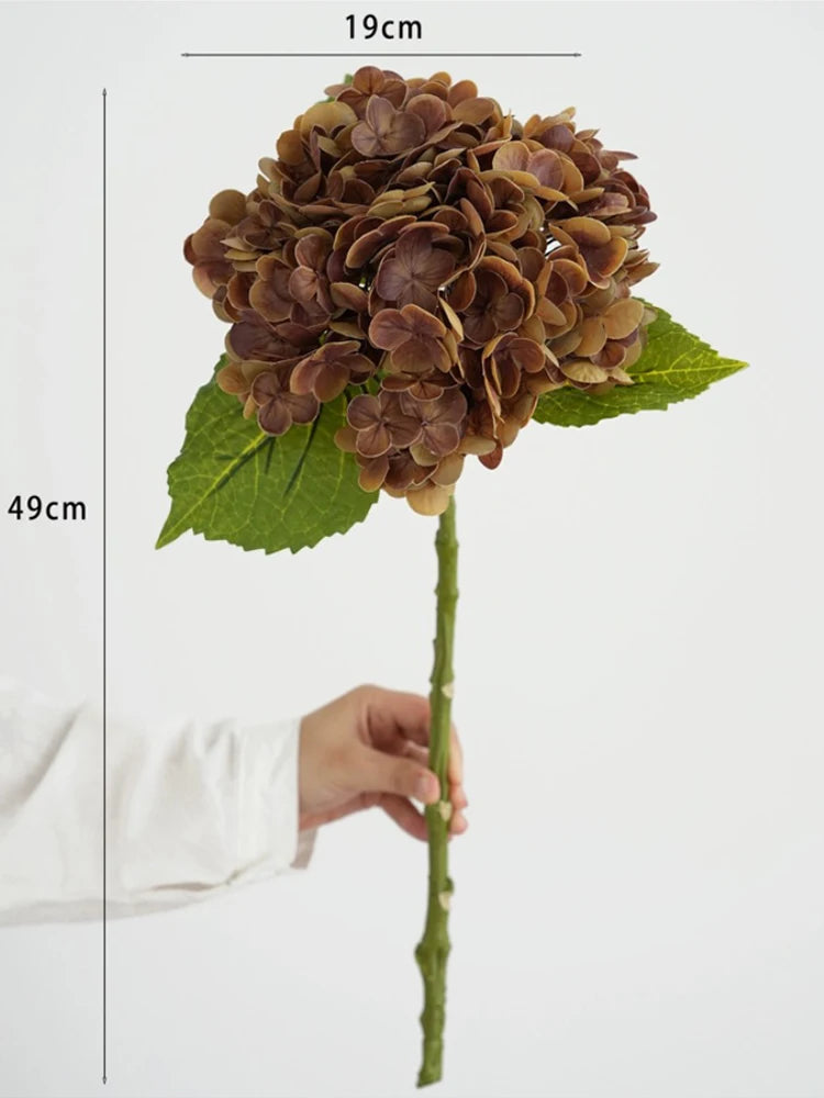 A dried brown hydrangea flower cluster on a green leaf, shown next to a ruler for scale.