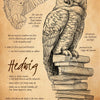 A detailed illustration of a bird owl with spread wings, surrounded by text about Hedwig.