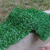 Dense green artificial grass hedge panels covering a retaining wall for privacy and decoration.
