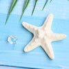 A white starfish and a clear crystal are displayed on a blue wooden surface with green foliage.