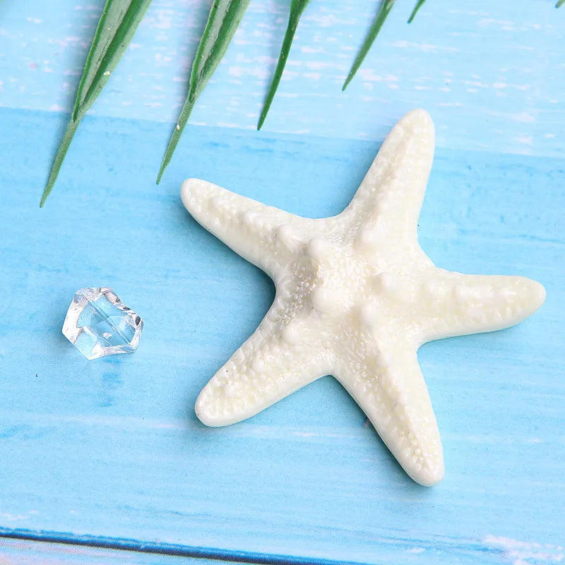 A white starfish and a clear crystal are displayed on a blue wooden surface with green foliage.