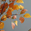 A branch of autumn beech leaves in shades of orange and yellow against a gray background.