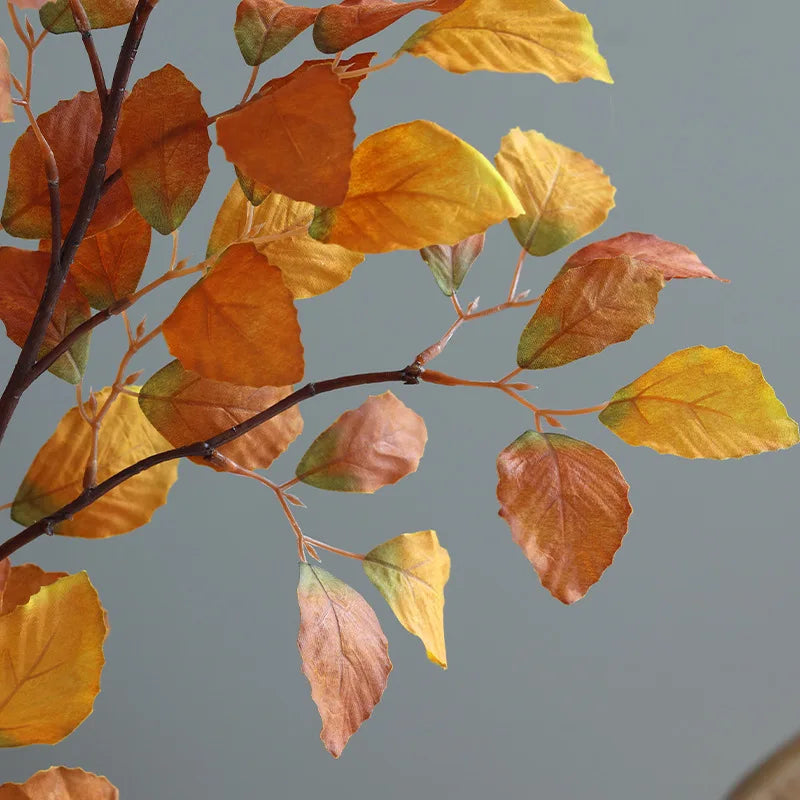 A branch of autumn beech leaves in shades of orange and yellow against a gray background.