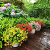 A collection of colorful artificial flowers in various shades including yellow, pink, and red potted on a wooden deck surroun