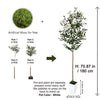 Artificial moss and parts are shown alongside a full olive tree plant with dimensions.