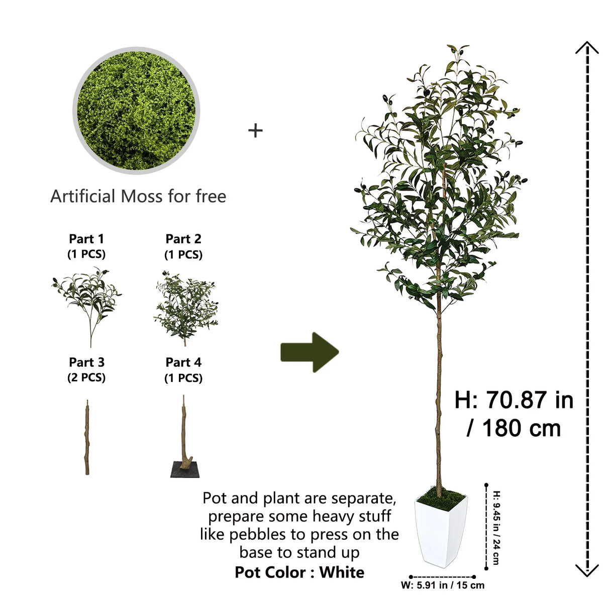 Artificial moss and parts are shown alongside a full olive tree plant with dimensions.
