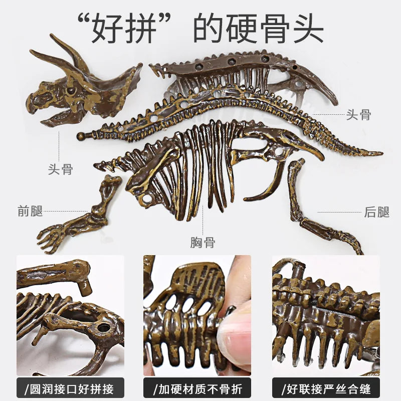 A set of dinosaur fossil replicas showing various parts like skull, spine, and limbs for excavation kits.
