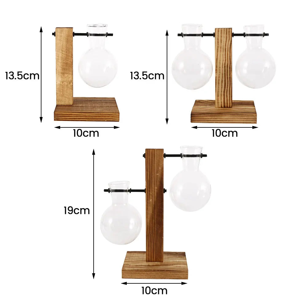 A glass hydroponic terrarium vase with a wooden stand shown in multiple dimensions.