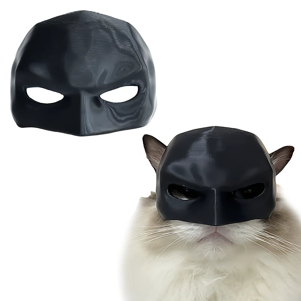 A black bat cat Halloween mask is displayed next to a white cat's face.