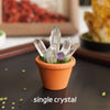 A single clear quartz crystal is planted in an orange terracotta pot with moss on a dark surface.