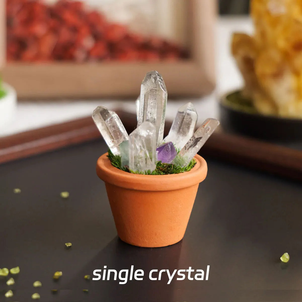 A single clear quartz crystal is planted in an orange terracotta pot with moss on a dark surface.