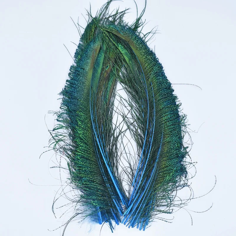 A bundle of iridescent green and blue peacock feathers.