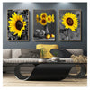 Three framed vintage sunflower canvas wall art prints displayed on a gray wall above a modern coffee table.