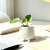 A white 3D printed smiley face succulent planter holding a small green plant on a light wooden surface.