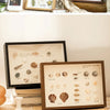A collection of small natural elements, including dried flowers and seeds, displayed in a wooden shadow box frame.