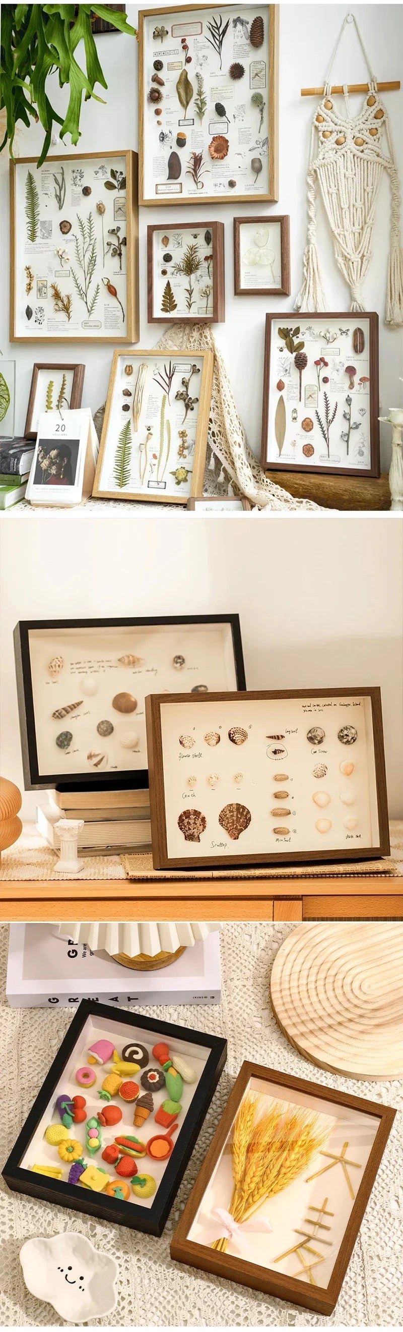 A collection of small natural elements, including dried flowers and seeds, displayed in a wooden shadow box frame.
