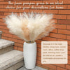 A large bundle of fluffy beige pampas grass stems displayed in a white vase against a brick wall.