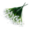 A bundle of white baby's breath flowers with long green stems.
