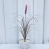 A potted artificial grass plant with thin, dark green stems and a tall purple flower spike against a white background.