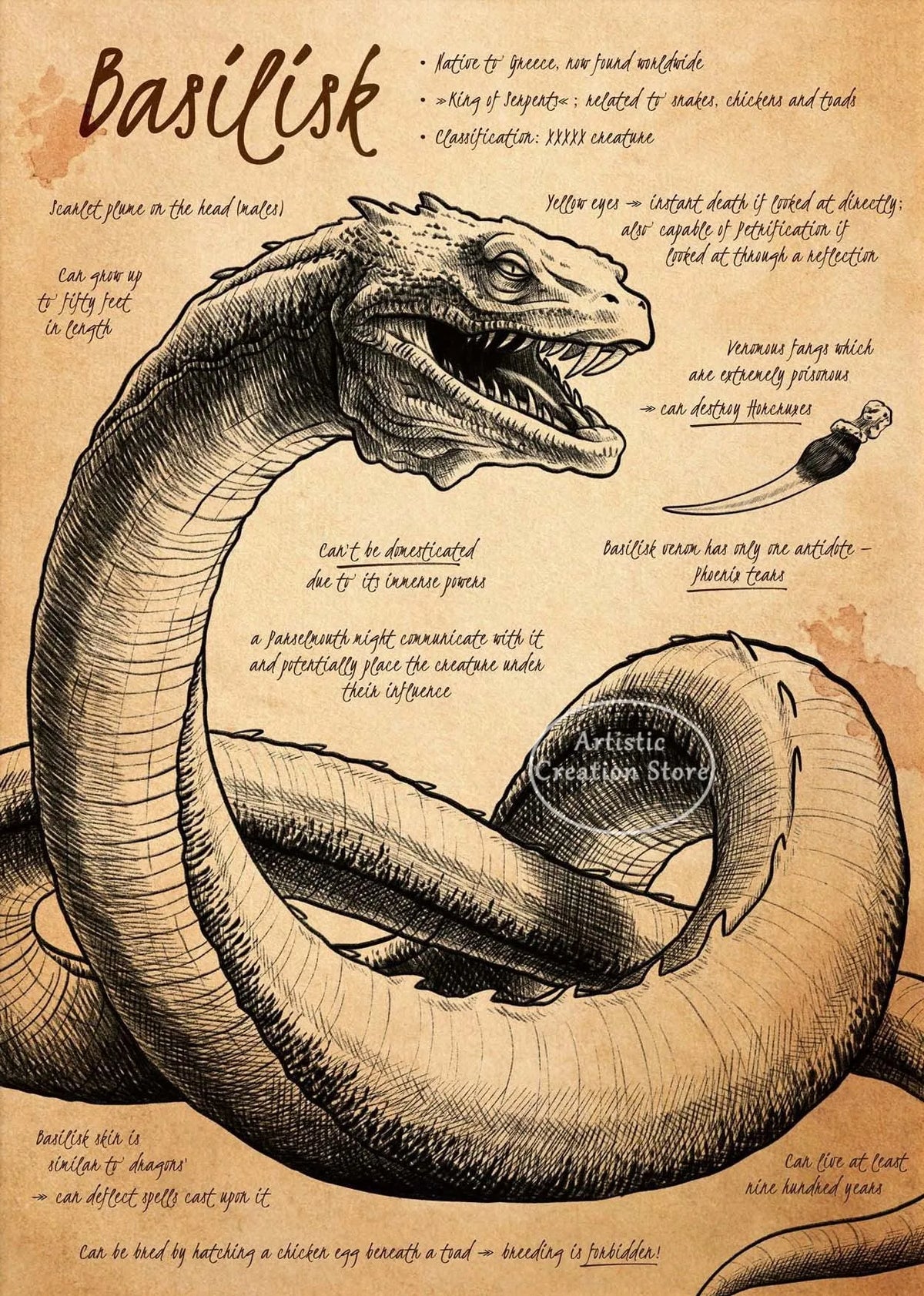 A detailed illustration of a Basilisk, a legendary serpent with deadly powers.