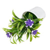 Artificial lotus flowers with purple and white blooms growing in a white decorative pot.