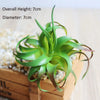Artificial Succulent Bonsai for Desk & Home Decor