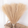 Un paquete de pampas artificiales color beige claro para decoración del hogar