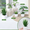 A collection of six potted artificial bonsai plants in various styles displayed on a white shelf with natural light.
