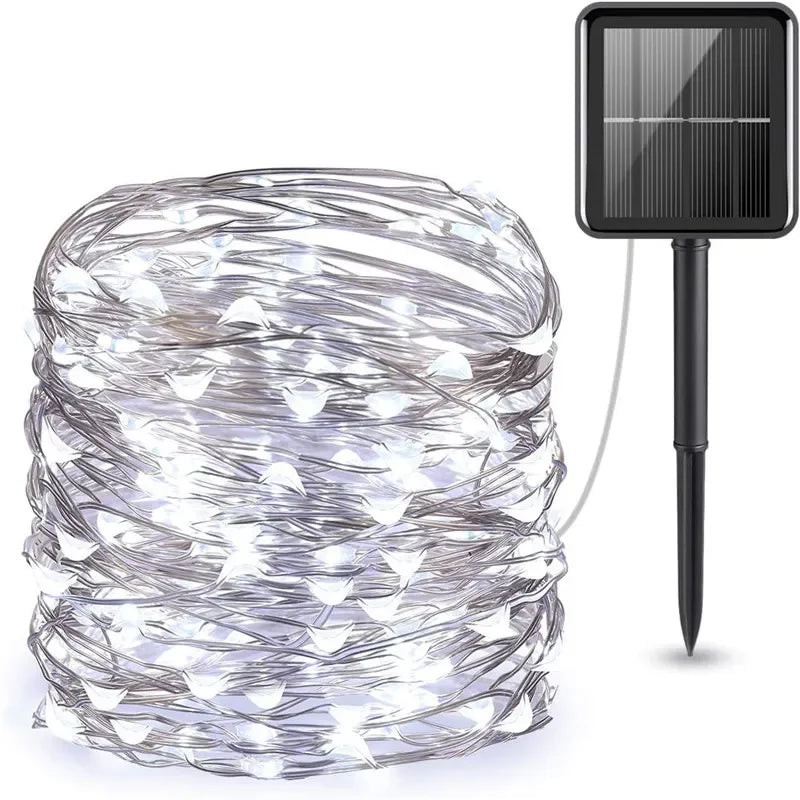 A bundle of clear fairy string lights with individual LED bulbs and a black solar panel connector.
