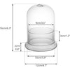 Clear glass cloche terrarium with a round base and a dome top