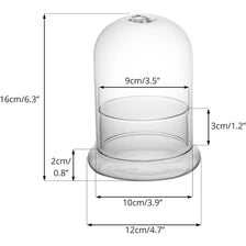Clear glass cloche terrarium with a round base and a dome top