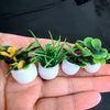 A hand holds a set of miniature potted plants with green and yellow foliage for dollhouse decor.