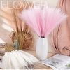 A bouquet of fluffy pink pampas grass stems in a white vase, set against a neutral background.