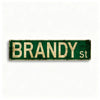 A rectangular, distressed green metal tin sign with the text BRANDY St on it.