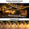 A series of solar powered outdoor string lights demonstrating four brightness levels from 25% to 100%.