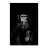 A dark portrait of a monkey with intense eyes and textured fur against a black background.