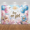 A colorful gender reveal backdrop featuring balloons, stars, and pink and blue clouds with the text boy or girl.