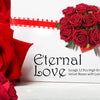 A close-up of a bouquet of deep red velvet roses with long stems displayed on a white card.