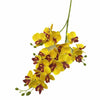 A cluster of yellow and reddish-brown orchid blooms on a green stem.