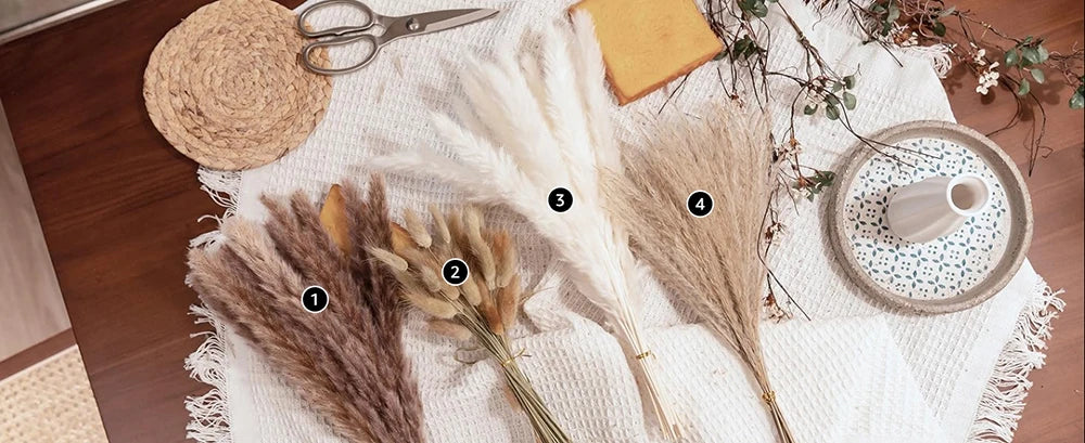 Bouquet de queues de lapin de pampas séchées arrangé sur un tissu en lin blanc avec des éléments naturels et des ciseaux