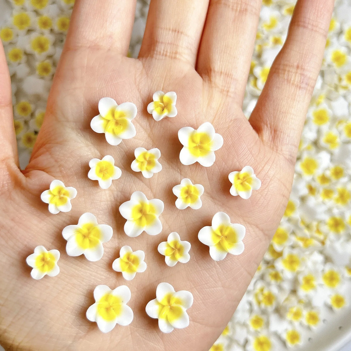 Una mano sostiene 50 pequeños y coloridos adornos de uñas de tortuga en una superficie blanca.