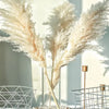 A bouquet of dried beige pampas grass arranged in a clear glass vase on a patterned tablecloth.